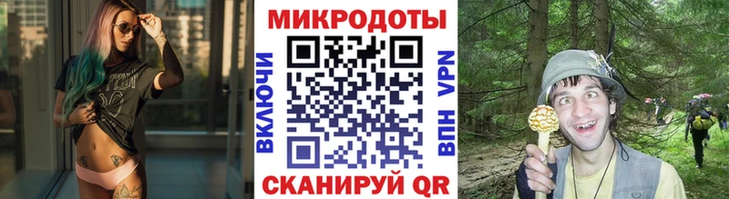 Галлюциногенные грибы ЛСД  Верхотурье 